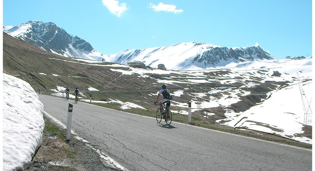 Offerte speciali Bike a Bormio